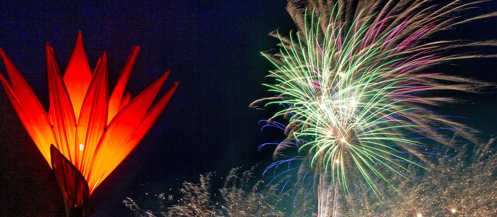 Read more about the article Fireworks